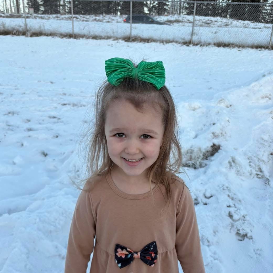Pleated Green Big Bow - EmZo BowsBig Bow