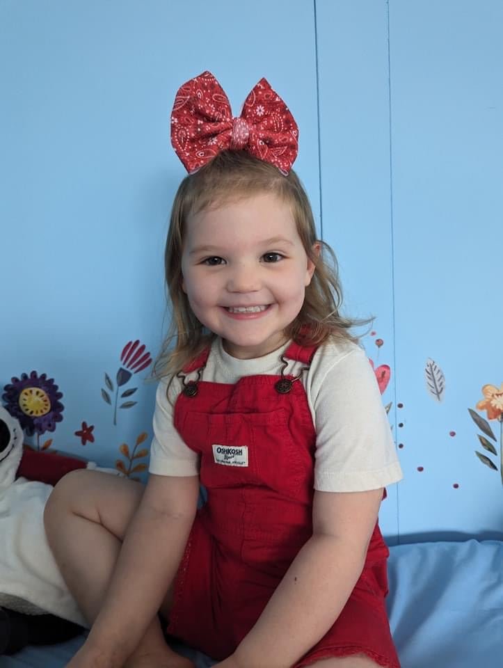 Red Bandana Big Bow - EmZo BowsBig Bow