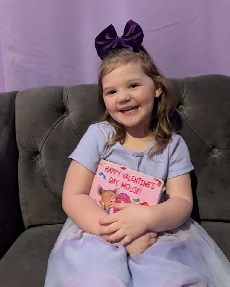 Violet Velvet Big Bow - EmZo BowsBig Bow