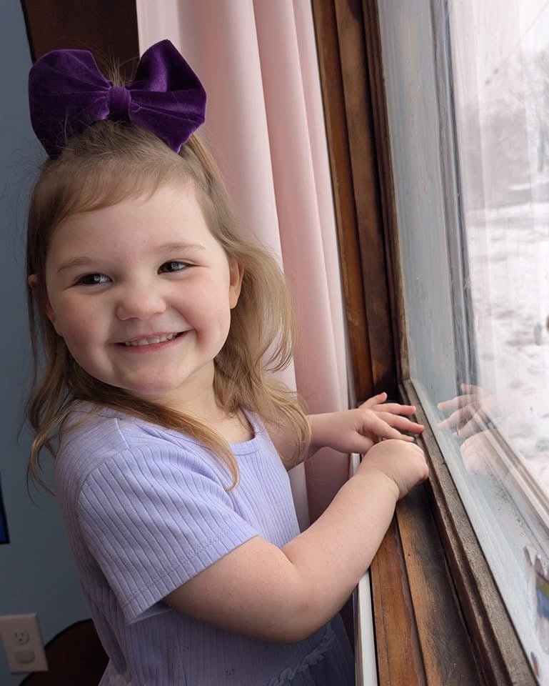 Violet Velvet Big Bow - EmZo BowsBig Bow