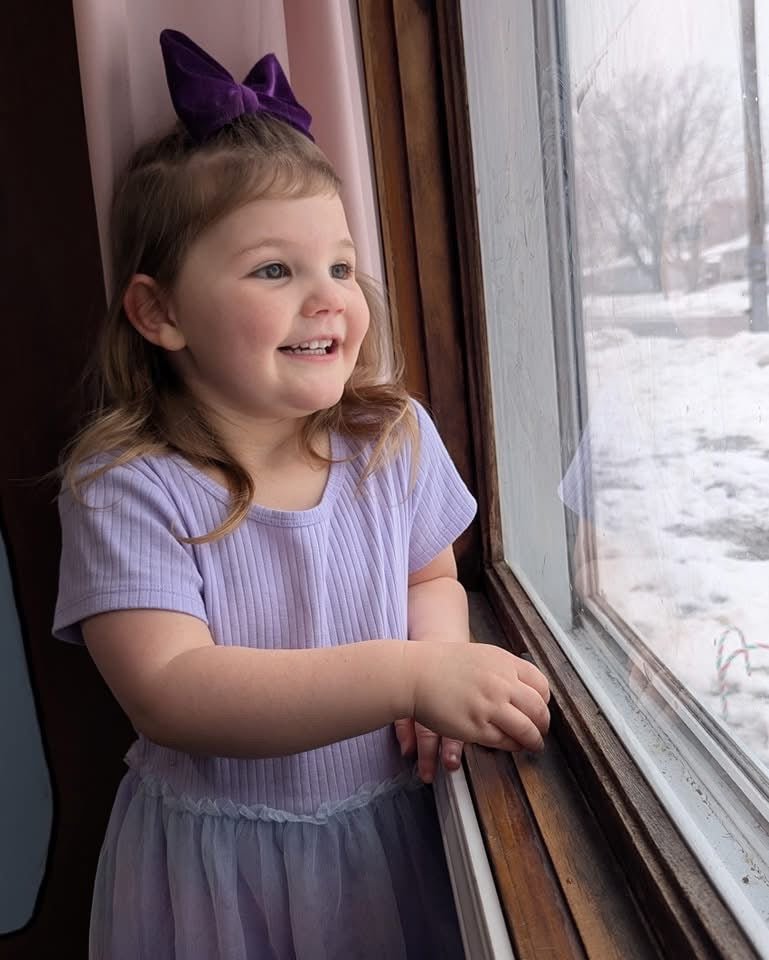 Violet Velvet Big Bow - EmZo BowsBig Bow
