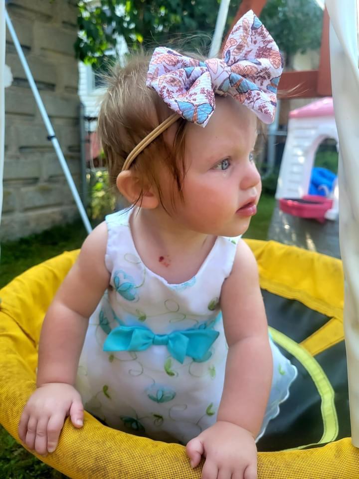 Butterfly Garden Bow - EmZo Bowsbow