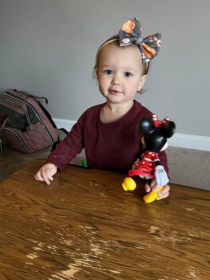 Floral Pumpkin Bow - EmZo Bowsbow