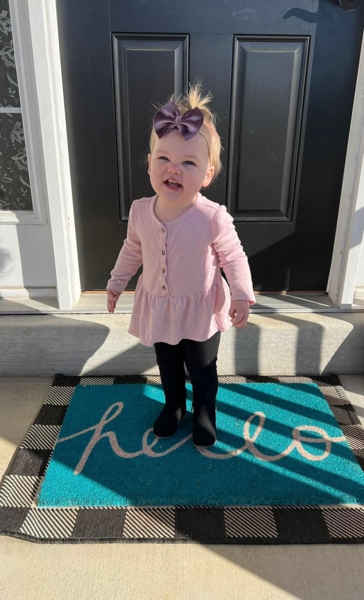 Lavender Velvet Bow - EmZo Bowsbow