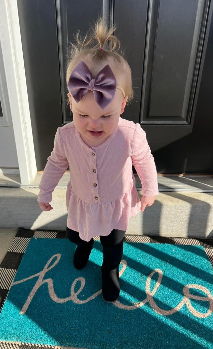 Lavender Velvet Bow - EmZo Bowsbow