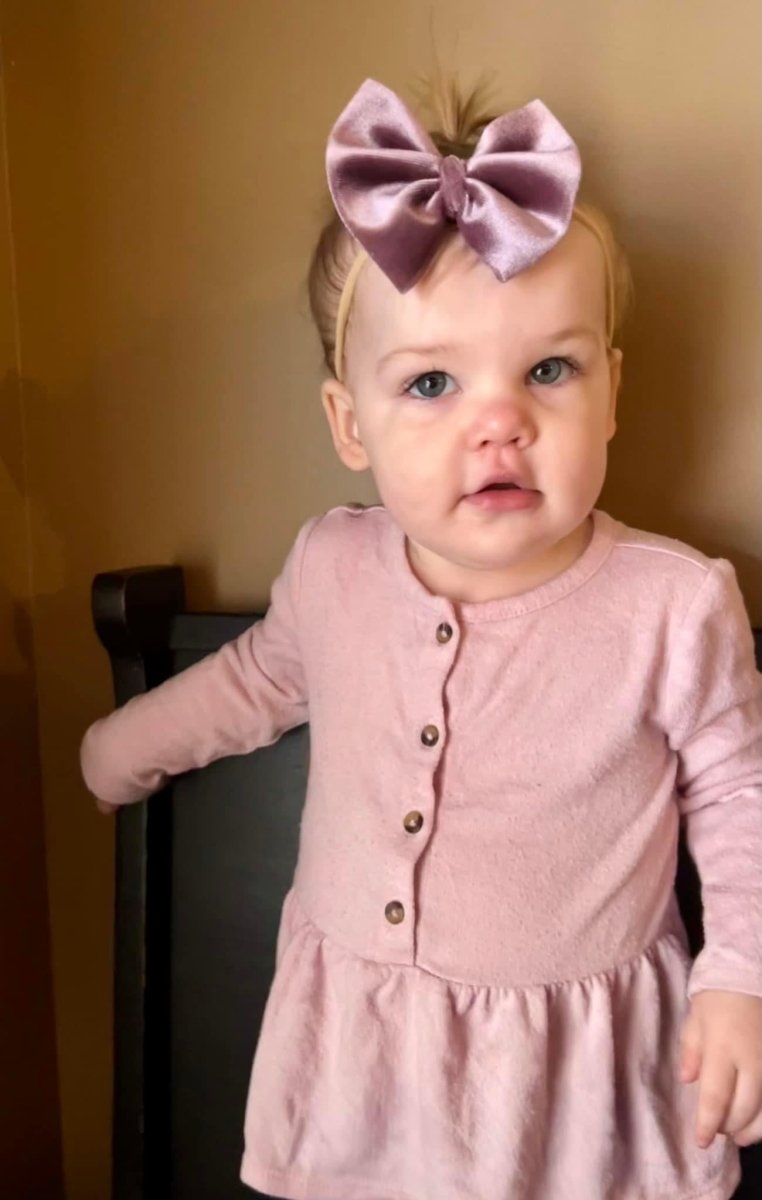 Lavender Velvet Bow - EmZo Bowsbow