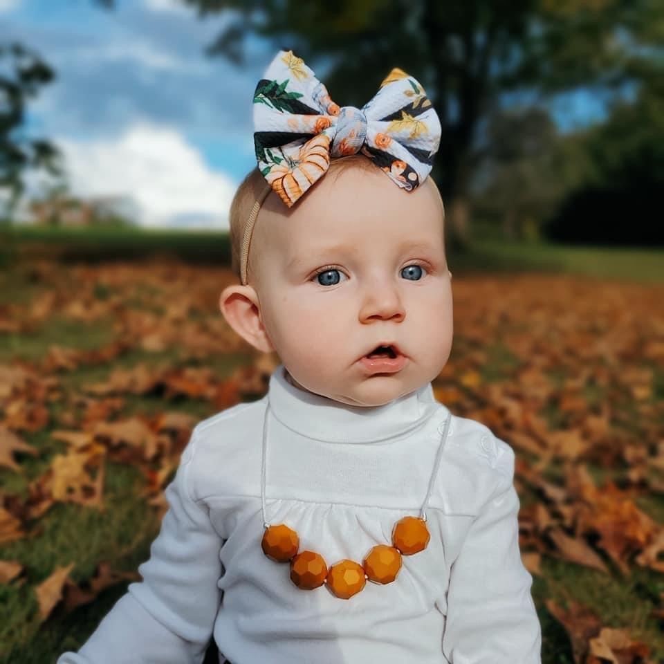 Rustic Pumpkin Bow - EmZo Bowsbow