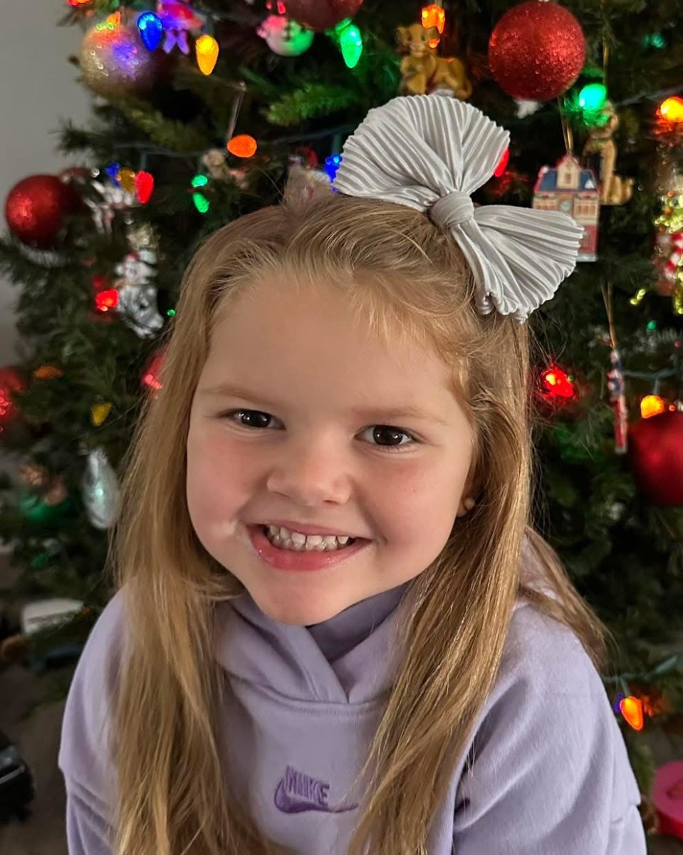 Pleated Silver Big Bow - EmZo BowsBig Bow