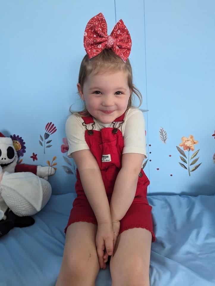 Red Bandana Big Bow - EmZo BowsBig Bow