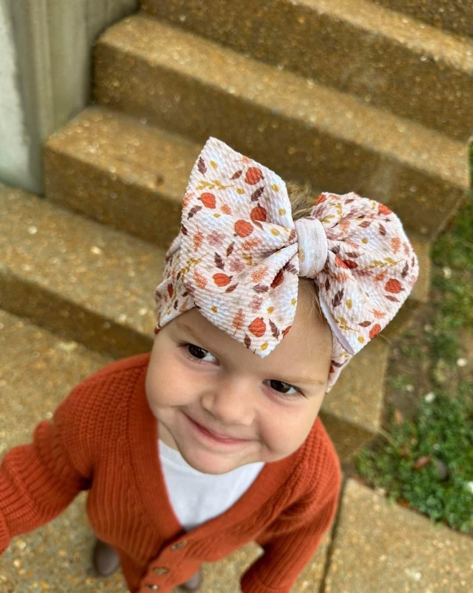 Fall Harvest Head Wrap - EmZo BowsHead wrap