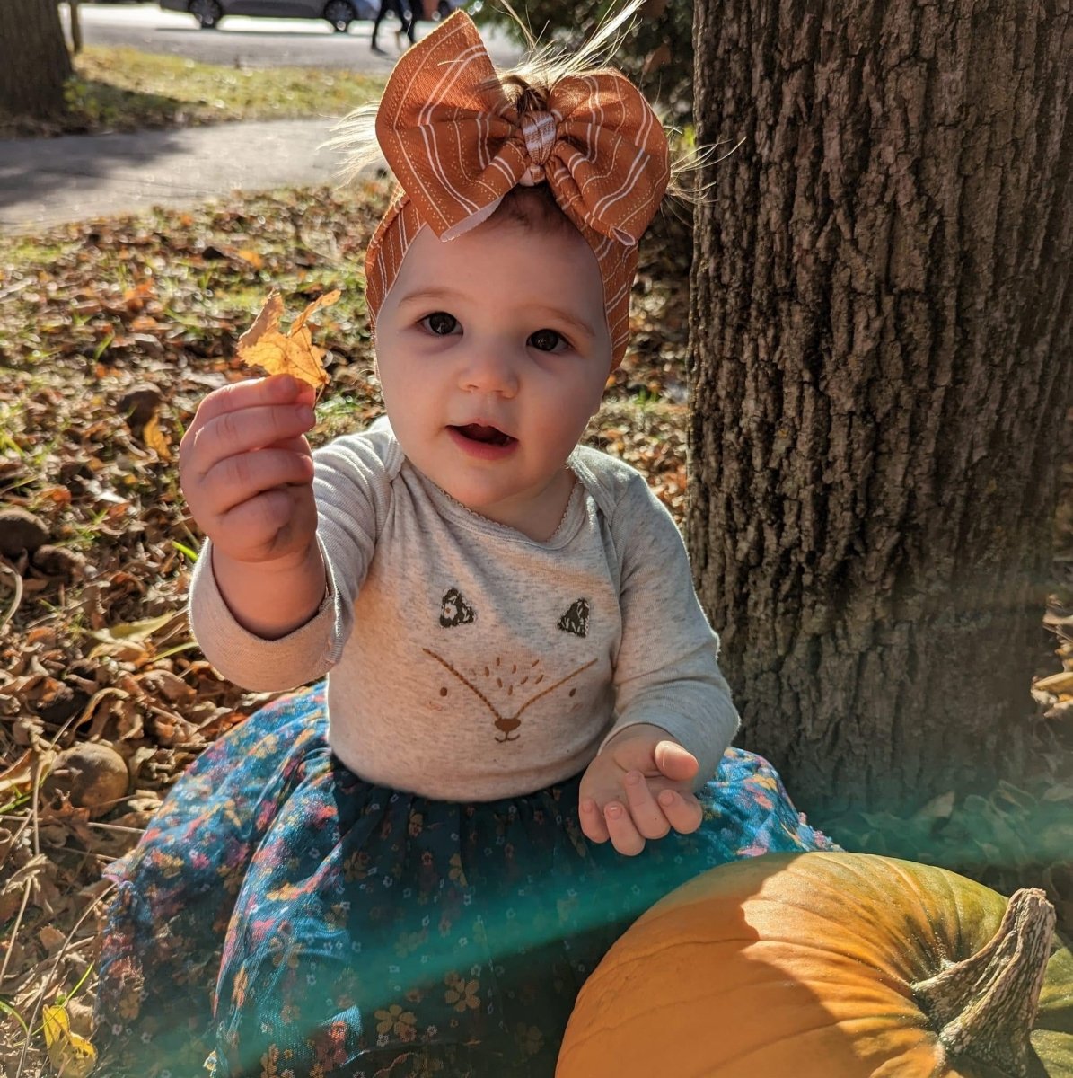 Fall Stripes Head Wrap - EmZo BowsHead wrap