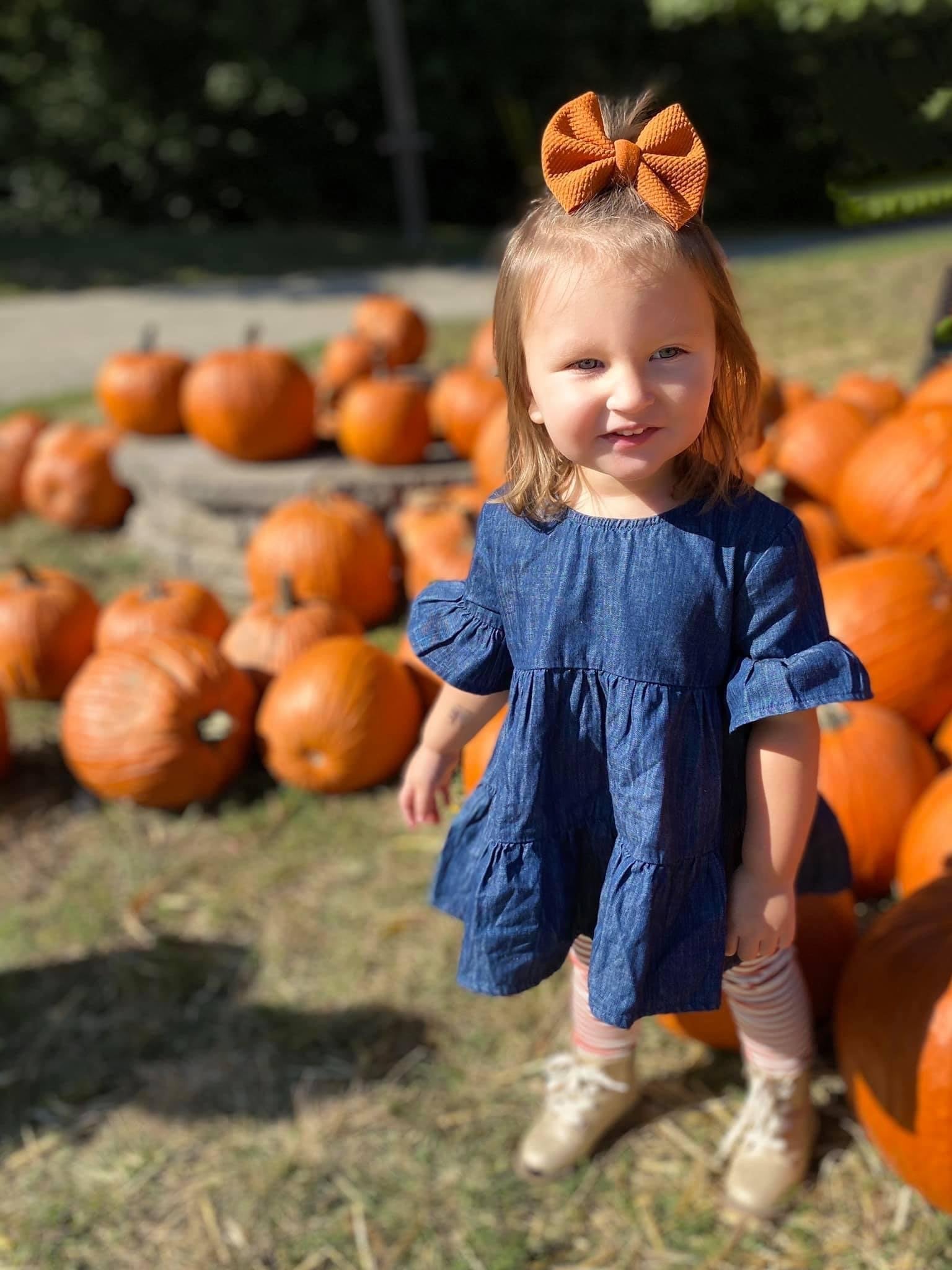 Pumpkin Spice Bow - EmZo Bows