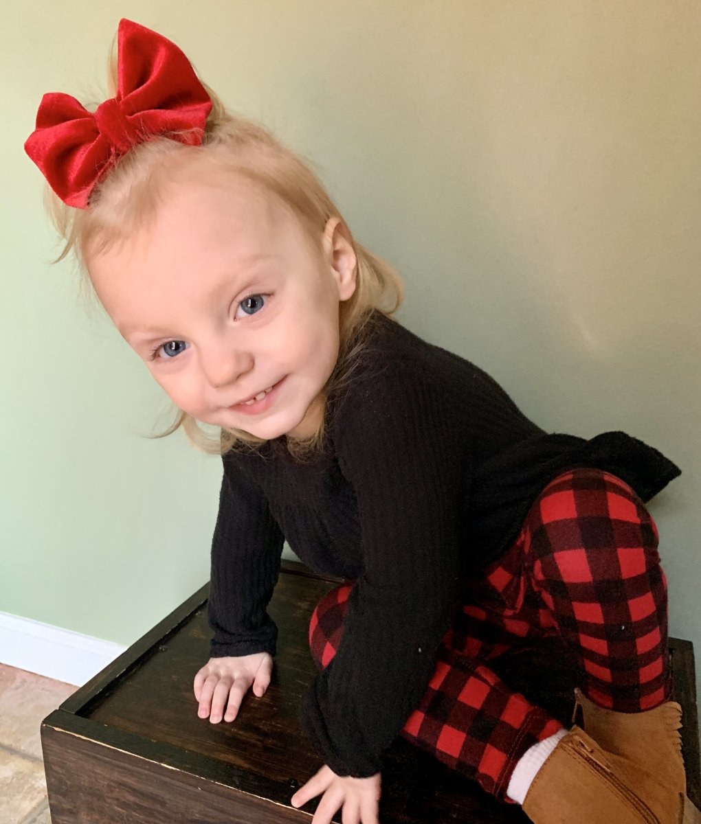 Red Velvet Bow - EmZo Bowsbow